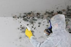 Biohazard Mold Removal in Parkston, SD